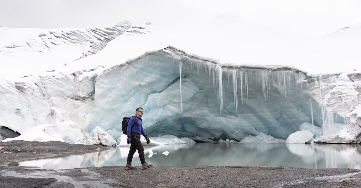 découvrez tout sur les white grubs (vers blancs) : identification, cycle de vie, dégâts causés au jardin ou à la pelouse et solutions écologiques pour les éliminer efficacement.