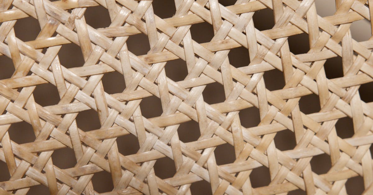 découvrez l'isolation en fibre de bois : une solution écologique et performante pour améliorer l'efficacité énergétique de votre habitation. profitez d'un confort thermique optimal tout en respectant l'environnement.