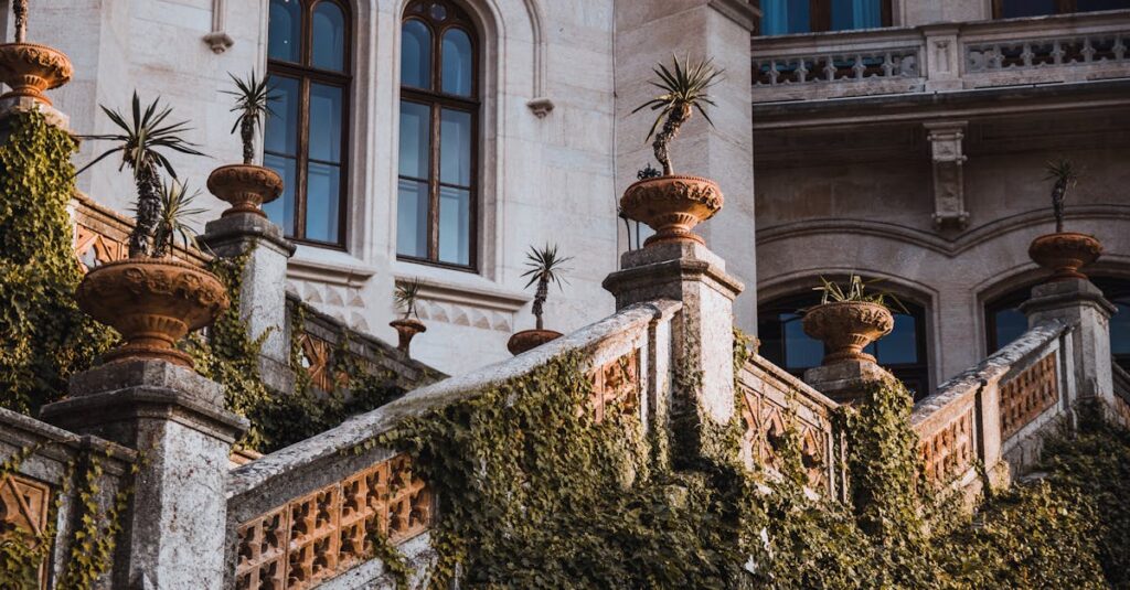 Guide pratique pour bien tailler votre yucca découvrez comment tailler un yucca efficacement pour favoriser sa croissance et préserver sa beauté. suivez nos conseils de taille étape par étape adaptés à tous les types de yucca.