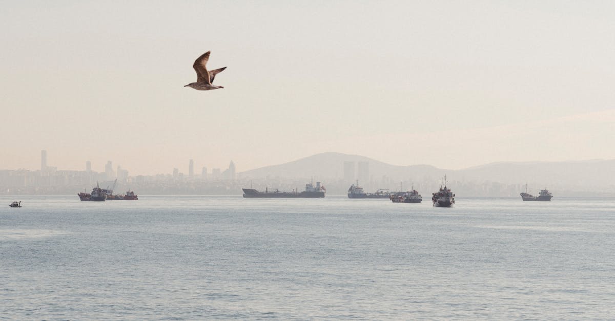 découvrez notre guide complet sur les compresseurs d'air : fonctionnement, types, applications industrielles et conseils pour bien choisir votre compresseur selon vos besoins.