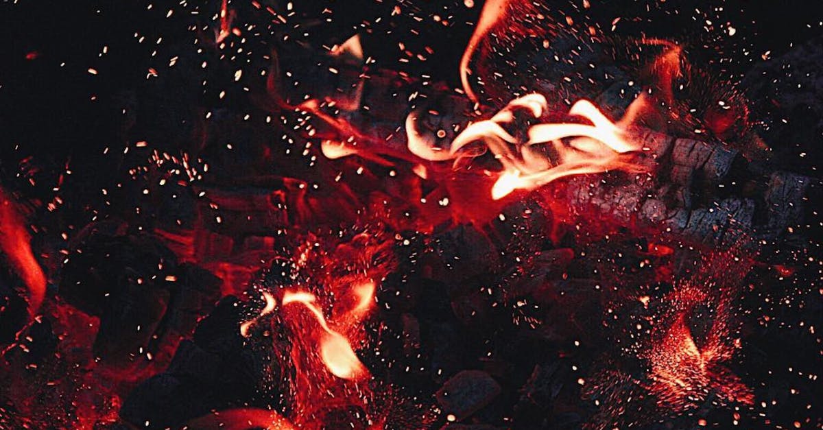 découvrez les prix du bois de chauffage pour un approvisionnement économique et de qualité. comparez les tarifs et trouvez les meilleures offres près de chez vous.