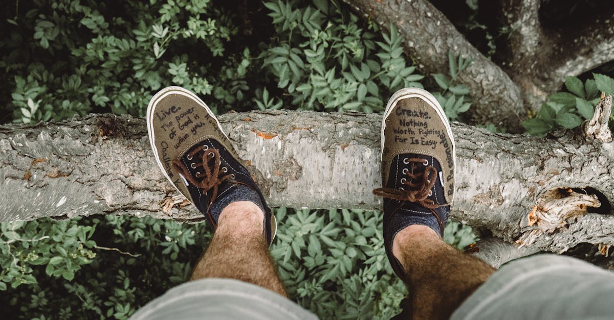 découvrez une source d'inspiration pour stimuler votre créativité et trouver de nouvelles idées au quotidien. conseils, astuces et ressources pour éveiller votre imagination.