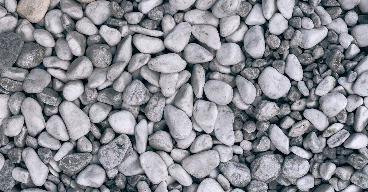 découvrez les avantages des sols en gravier lié à la résine : durabilité, esthétique moderne et entretien facile pour vos allées, terrasses et espaces extérieurs.