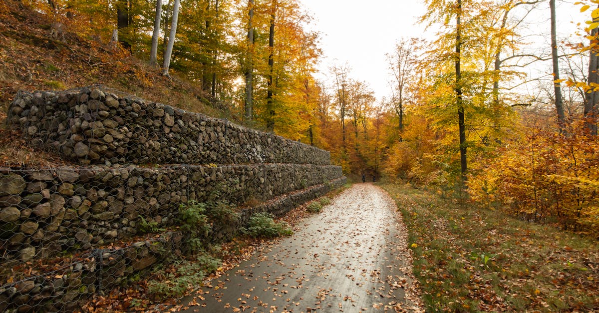 découvrez tout ce qu'il faut savoir sur les murs de soutènement : utilité, types, matériaux et conseils pour réussir votre projet d'aménagement extérieur.